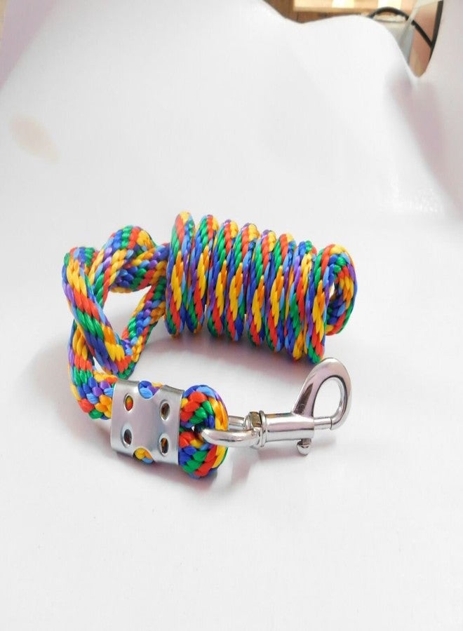 Skora Thick Nylon Rope Leash for Large Dogs (Multicolor) - Image 4